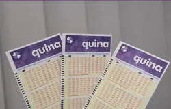 Quina 7112: R$ 18,5 milh�es em jogo; veja n�meros e como apostar