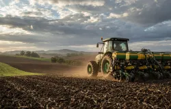 Plantio da soja 2026/27 come�a com pre�os atrativos e clima no RS em alerta
