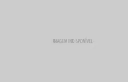 Casas Bahia leiloa eletrodomesticos com desconto de 69% em SP e RJ, veja regras