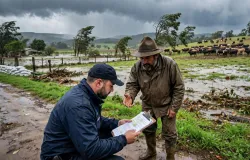 Resumo do Dia: Temporal no RS, PF em licita��es e Minerva no agro marcam o dia