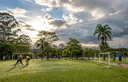 Previs�o do tempo hoje para S�o Paulo (SP): sol e aumento de nuvens de manh�; pancadas de chuva � tarde e � noite