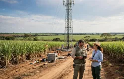 Internet chega ao campo no Brasil em escala gigantesca: parceria da Vivo com a CerradinhoBio prev� 14 torres para cobrir