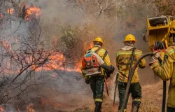 Brasil registra queda de 65,8% nas �reas queimadas e de 46,4% dos focos de calor em 2025