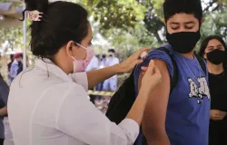 Sancionada lei que prev� vacina��o nas escolas para aumentar cobertura vacinal