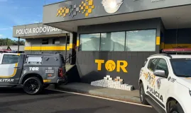 Pol�cia apreende quase meia tonelada de 'supermaconha' e folhas de coca�na no interior de SP
