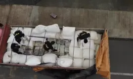 Quase uma tonelada de maconha encontrada escondida em carga de ra��o