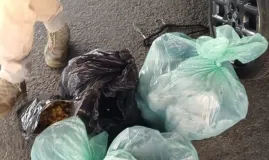 Homem tenta fugir a nado pela Ba�a de Guanabara e � p�gopela Pol�cia