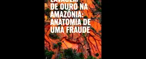 Justi�a age contra minera��o ilegal de ouro na Amaz�nia