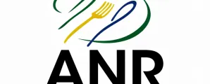 Regras para apps de entrega: o que muda para restaurantes e entregadores?
