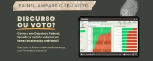 Seu voto pode proteger os animais: campanha mostra como deputados e senadores votam em temas ambientais