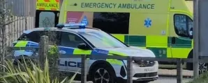Homem morre ap�s ser atacado por tigre em zool�gico na Inglaterra