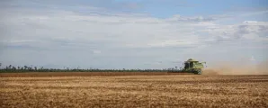Agroneg�cio brasileiro enfrenta desafios e oportunidades em 2026