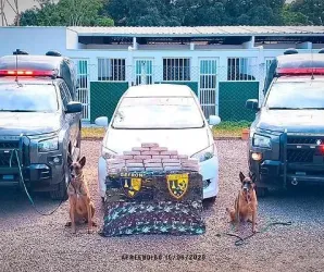 Gefron apreende 26 kg de pasta base de coca�na e causa preju�zo de R$ 500 mil �s fac��es criminosas