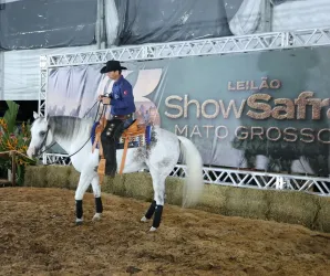 Leil�es, gen�tica e inova��o fazem do Show Safra Pecu�ria um polo de neg�cios