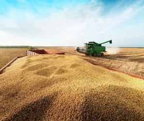 Justi�a bloqueia R$ 3,4 milh�es de s�cios de empresa do agro por suspeita de fraude em MT