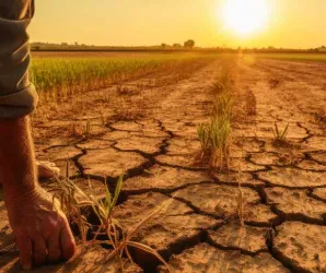 El Ni�o forte em Mato Grosso pode reduzir em 5 milh�es de toneladas a soja que o Brasil vende para o mundo, diz Ita� BBA