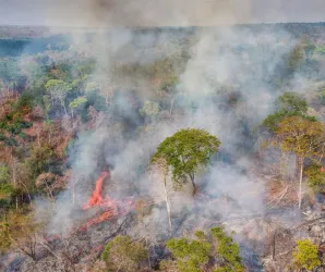 Mato Grosso ainda � o maior poluidor do Brasil, mas emiss�es de gases ca�ram