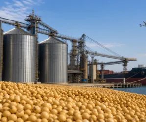 EUA exportaram menos soja, milho e trigo nesta semana, diz governo