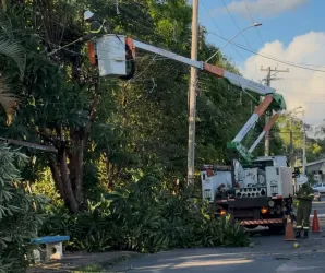Vento de 75 km/h derruba �rvores e deixa bairros de Estiva Gerbi sem luz
