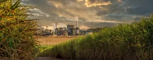 Safra de cana 2025/26 no Centro-Sul fecha com 611 milh�es de toneladas e setor inicia novo ciclo priorizando etanol
