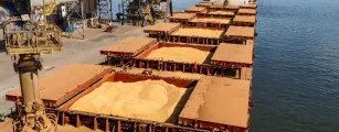 Exporta��es brasileiras de soja disparam em 2026 e ANEC projeta embarques acima de 108 milh�es de toneladas