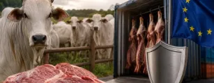 Carne brasileira sob press�o: risco de perda de competitividade global cresce com exig�ncias sanit�rias da Uni�o Europeia