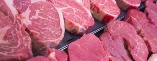 Exporta��es de carne bovina do Brasil disparam em maio e receita supera US$ 1,3 bilh�o