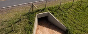 Atropelamentos de fauna silvestre avan�am no Brasil e aprova��o de plano nacional acende alerta no Mato Grosso do Sul