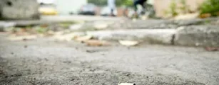 Salvador e Grande Sal registram recorde de tiroteios e v�timas em agosto de 2026