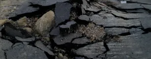 Terremoto de magnitude 8.0 sacode o Panam� e gera alerta de tsunami