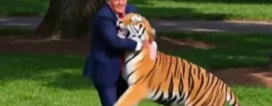 Trump � criticado por usar IA para fazer piada sobre morte de homem atacado por tigre