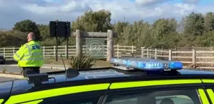 Homem morre ap�s ser atacado por on�a em zool�gico da Inglaterra
