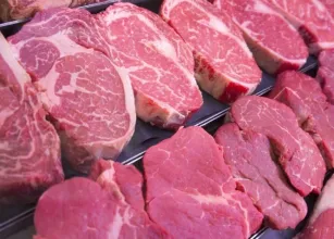 Exporta��es de carne bovina do Brasil disparam em maio e receita supera US$ 1,3 bilh�o