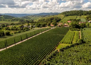 Vale dos Vinhedos � o destino do  vinho brasileiro mais premiado no 13� Brazil Wine Challenge