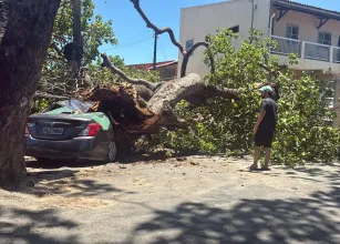 �rvore cai em Fortaleza e destr�i carro, muro e port�o de uma casa