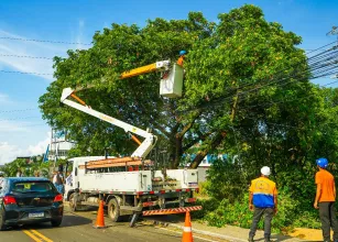 Prefeitura de S�o Jo�o de Meriti cria site para facilitar servi�os ambientais