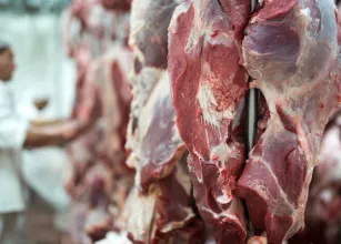 Carne de Mato Grosso � vendida para 88 pa�ses e fatura US$ 2,4 bilh�es