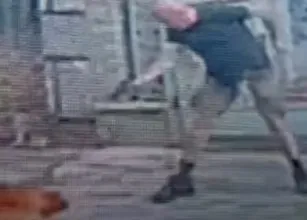 Homem mata cachorro a tiros na Tijuca