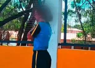 Motoboy her�i leva 40 picadas de abelha para salvar menina de 12 anos em MG