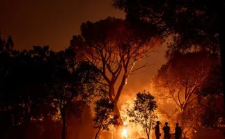 Espanha e Fran�a lutam contra inc�ndios antes de nova onda de calor