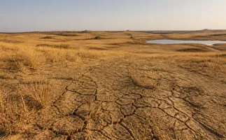 Ind�genas exigem participa��o real nas negocia��es da COP17 em Mong�lia