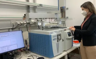 A��car comum vira mat�ria-prima para f�bricas com nova tecnologia brasileira