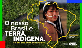 Ministrio dos Povos Indgenas: a concretizao da presena indgena no Estado brasileiro