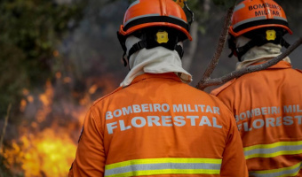 Governo de MT antecipa perodo proibitivo do uso do fogo no Pantanal