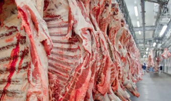Exportao da carne de Mato Grosso cresce 32% e tem novo recorde