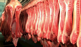 Crescimento nas Exportaes de Carne Suna em Fevereiro Impulsiona Receita em 32,6%
