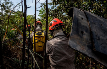 Mato Grosso reduz 85,8% focos de calor no Pantanal nos primeiros cinco meses