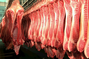Exportao de carne suna apresenta pior volume dos ltimos oito trimestres