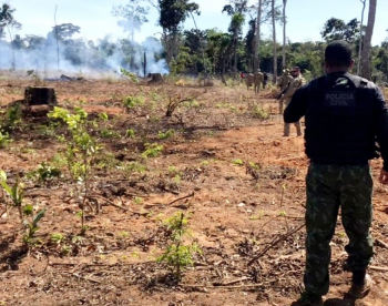 Polcia Civil e parceiros atuam em operao de combate ao desmatamento ilegal no norte de MT