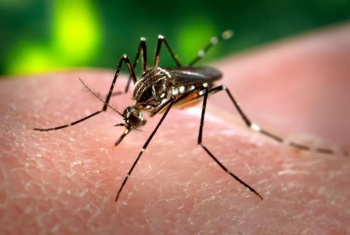 Criana 7 anos morre por dengue em MS; 6 bito do estado